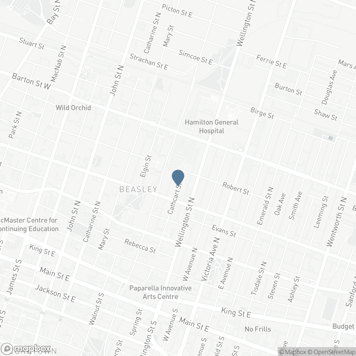 125 CATHCART Street, Hamilton, Ontario L8L 5A1